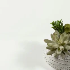 Porch & Den Cambria 4-drawer Shoe Cabinet - White -Bed Frame Shop 1314f503 bd7e 452f bfe8 6368bcc81a8e