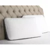FlexSleep Bamboo Charcoal Foam And Cooling Gel Queen Pillow