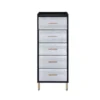 5 Drawers Jewelry Armoire With Mirror - Black/Silver/Gold