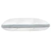 Polar Nova Deluxe Memory Foam Pillow, Queen